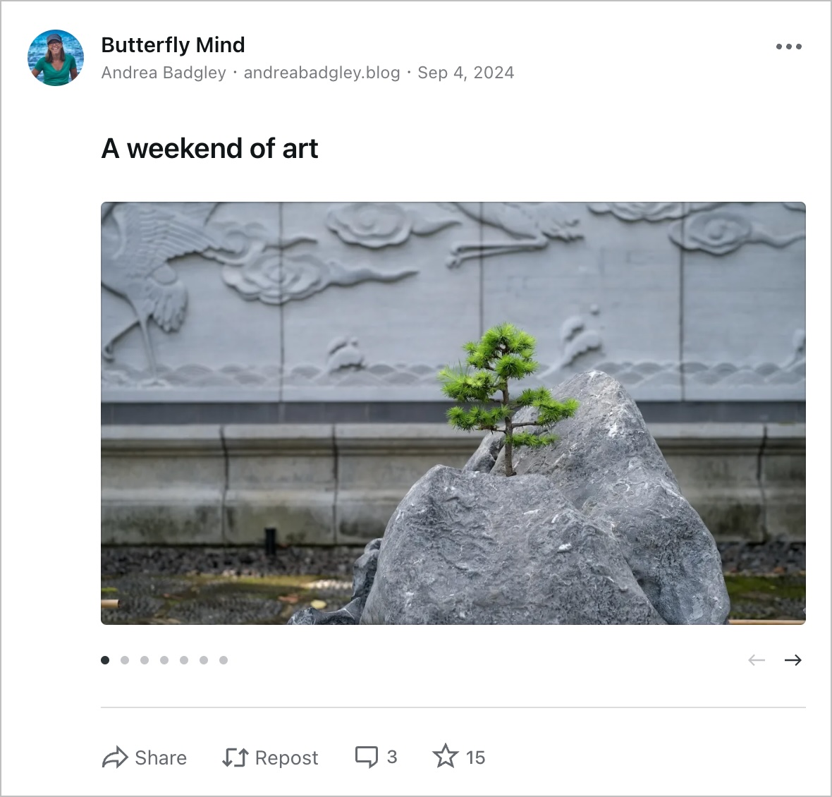 Un esempio della scheda Galleria che mostra l'avatar dell'autore, il nome dell'autore, i dettagli dell'articolo, il titolo dell'articolo, il breve testo e una presentazione della galleria, con le opzioni per condividere, ripubblicare, commentare e mettere Mi piace all'articolo.