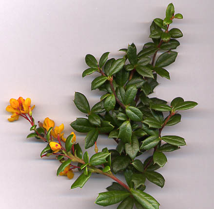240px
\test