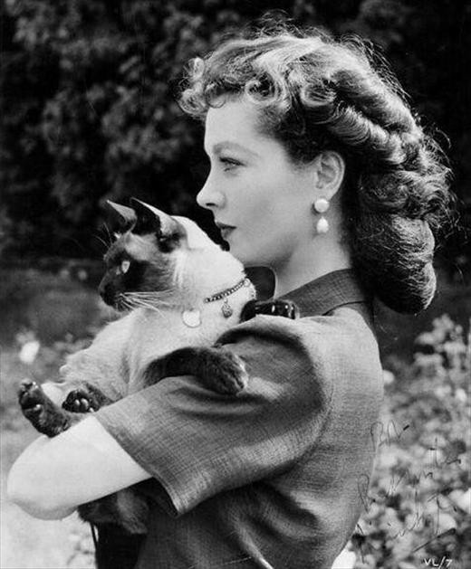 Vivien Leigh Vivien Leigh