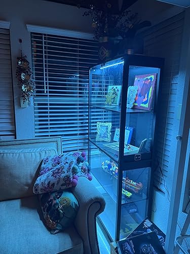 Perfect for LEGO storage and display