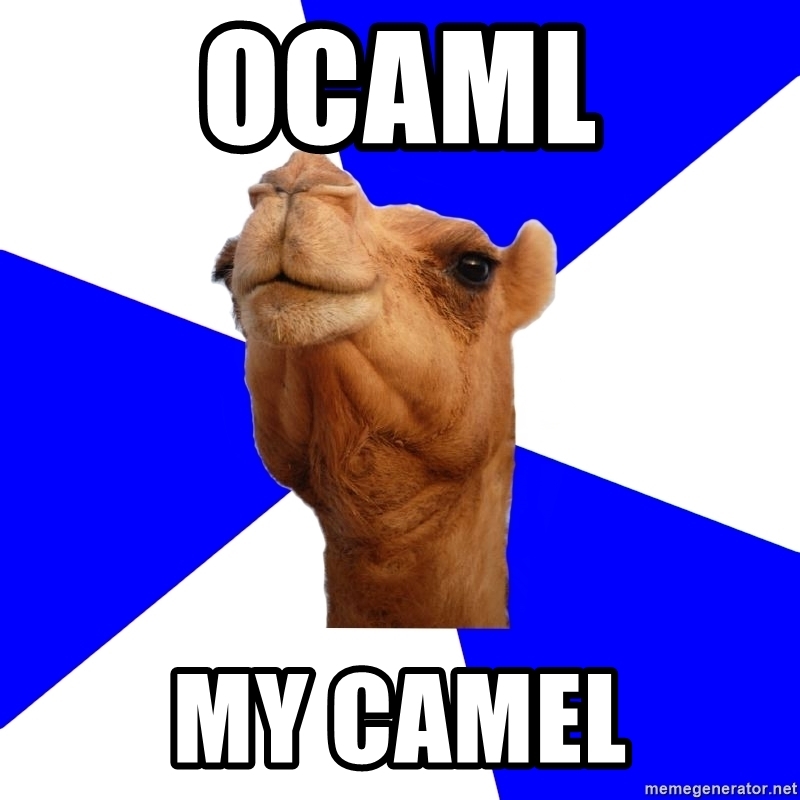 OCaml my camel