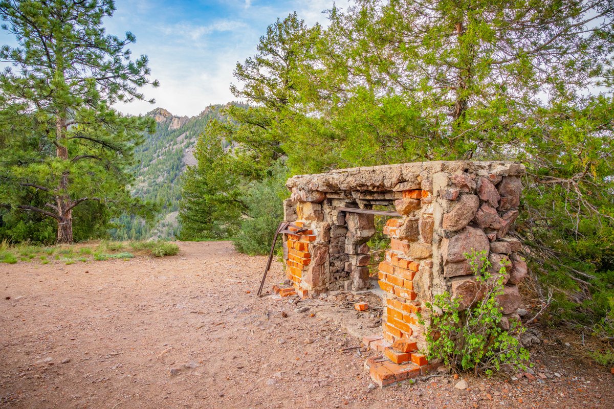 An old brick fireplace in the middle of a clearing in the forest.