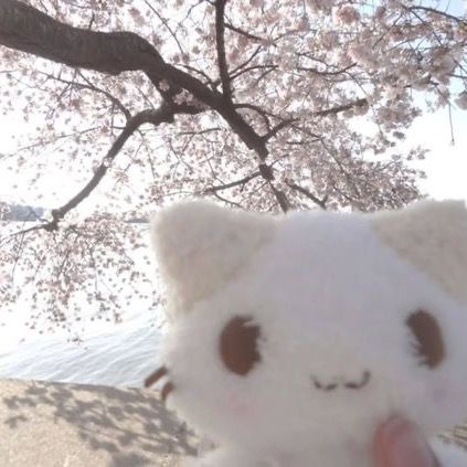 fefitadoll's avatar