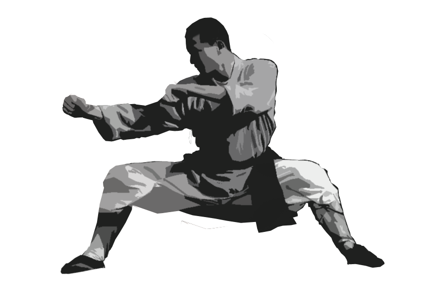 চিত্র:中国武术.png