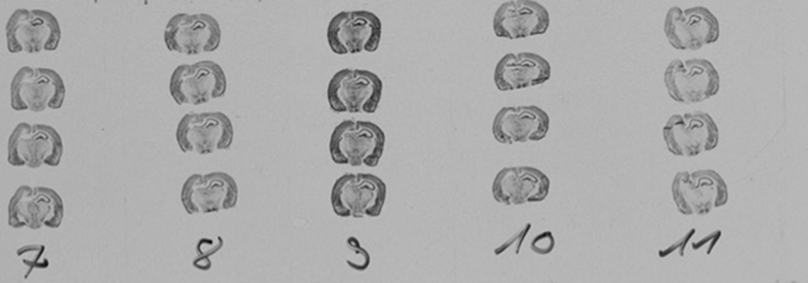 s4 Image