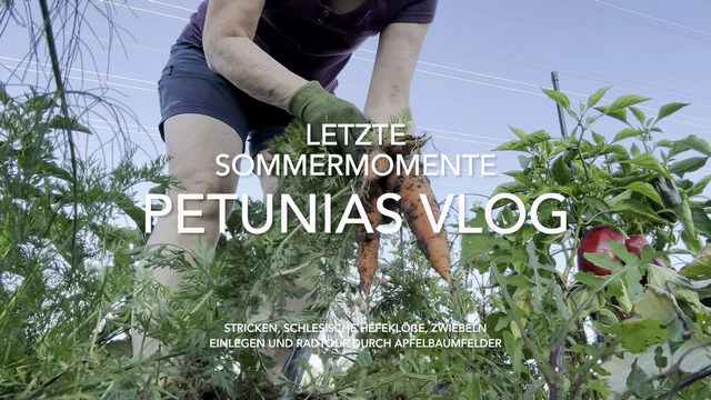 Möhrenernte als alternatives Titelbild für Petunias Vlog Möhrenernte als alternatives Titelbild für Petunias Vlog