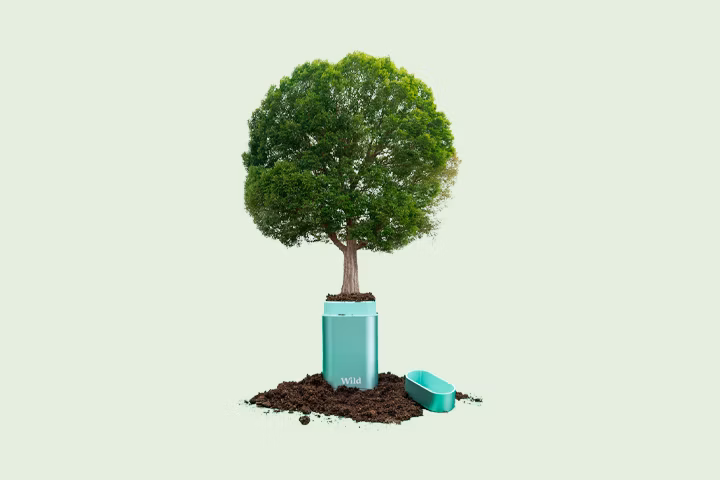 Caption: a tree is growing out of a trash can