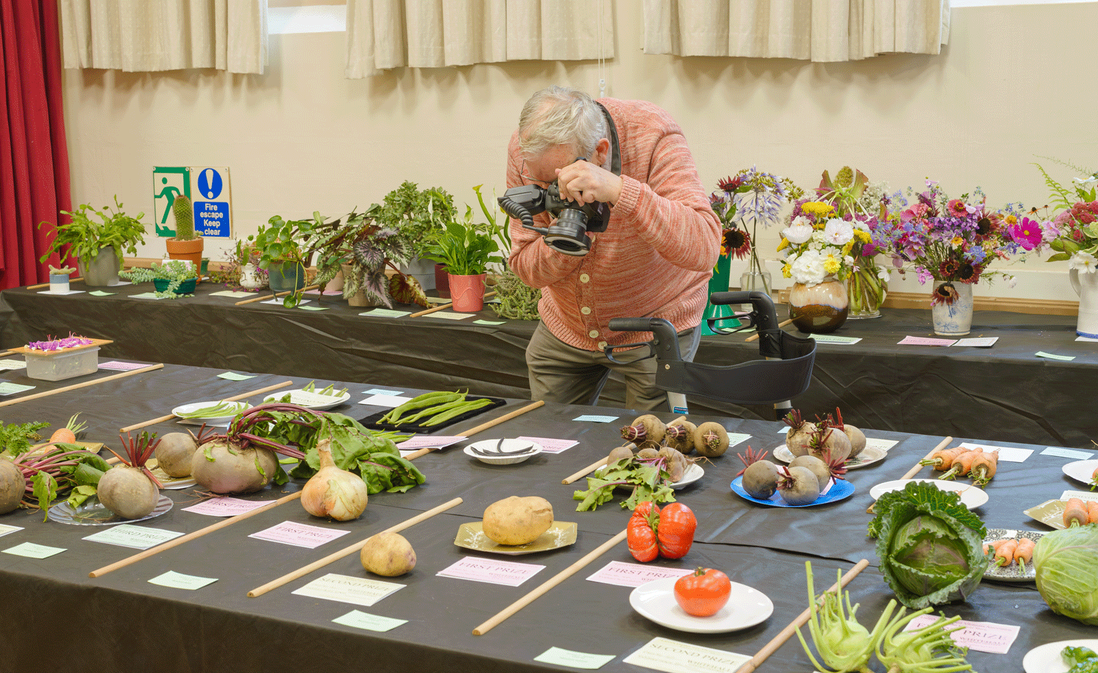 martin parr takes pictures of vegetables