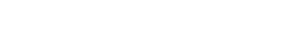 Programista