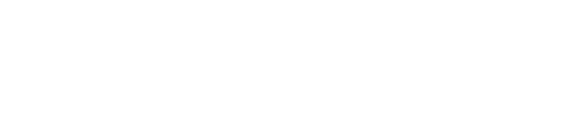 wizjanet