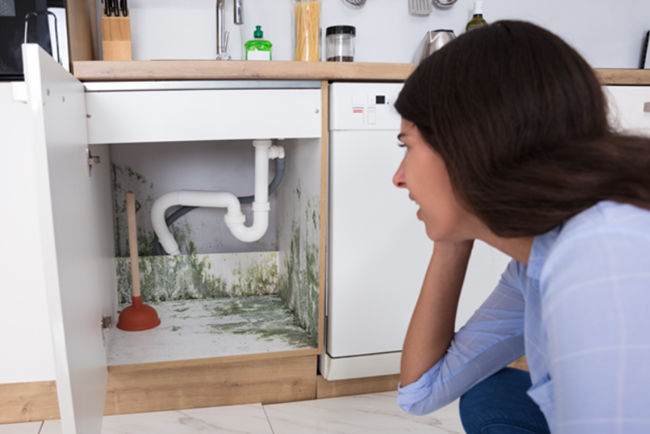 3-11-24 8 reasons to deal with maintenance requests with property management software Here are 8 reasons to use property management software for maintenance requests to improve communication between landlords and tenants.