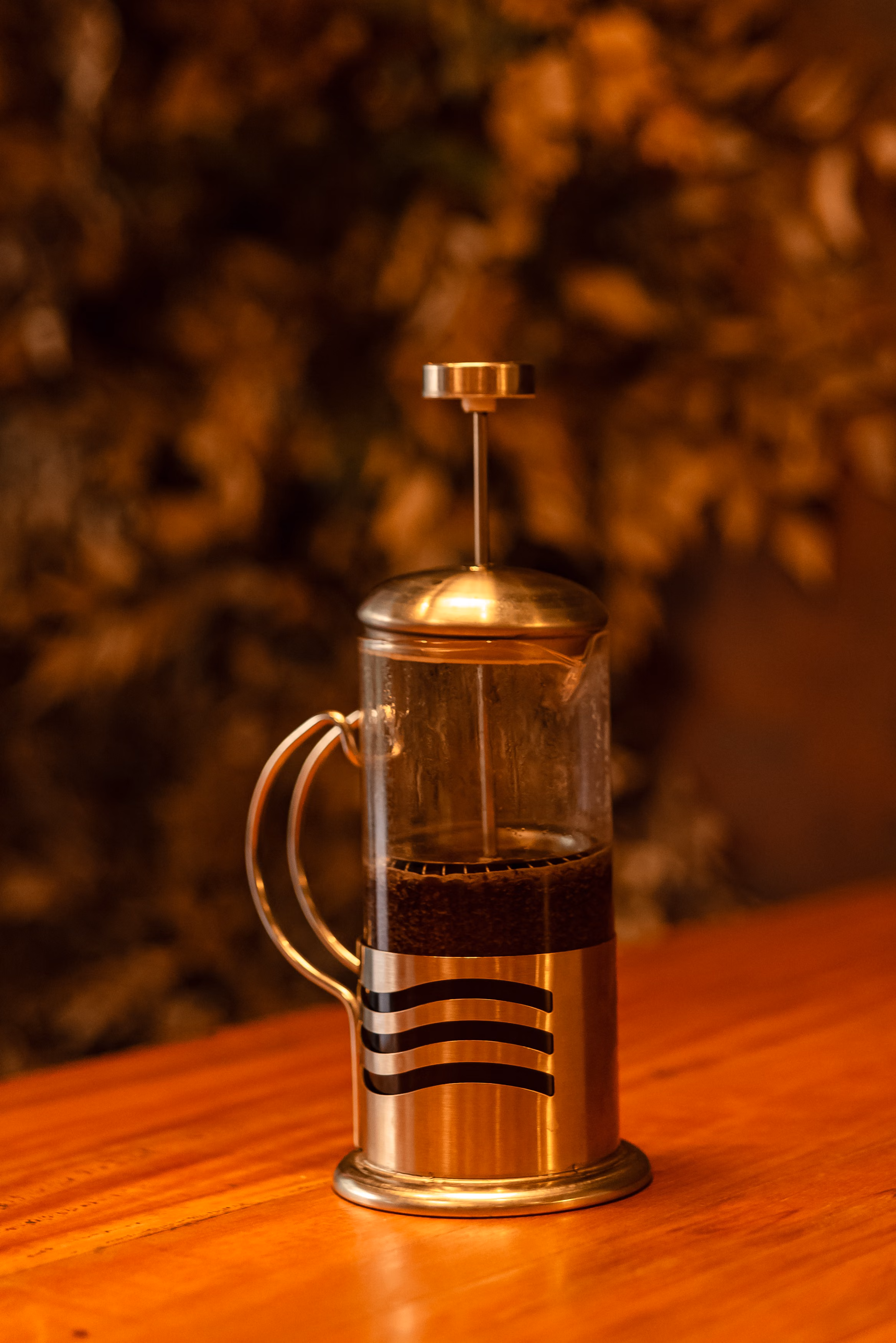 Classic French Press