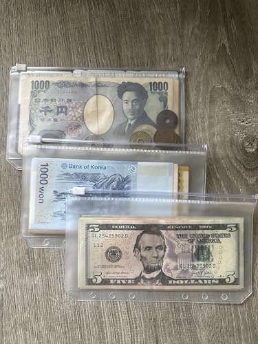 Smart travel organizer for multiple currencies
