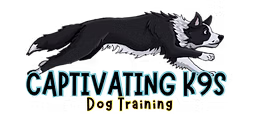 Border collie dog training logo