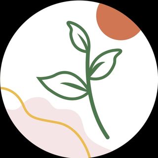 plantas.conalegria's avatar