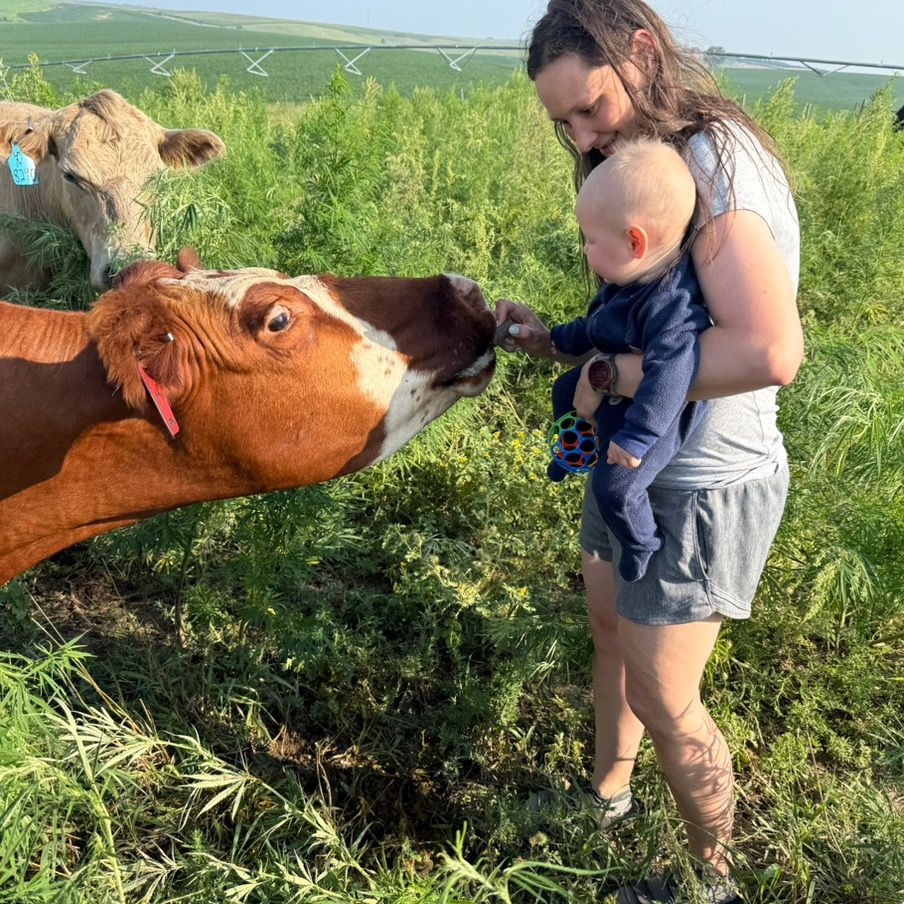 feralhomesteadmom's avatar