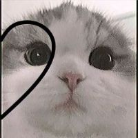 loreynkims's avatar