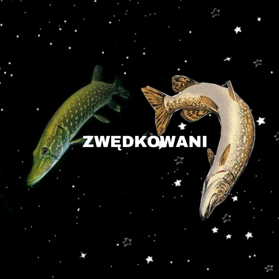 zwedkowani's avatar