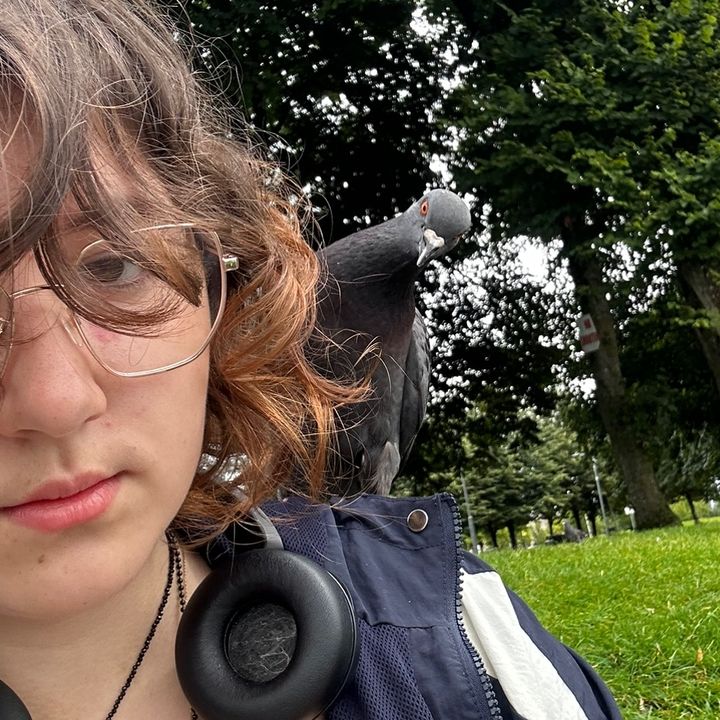 AbbyPigeon's avatar