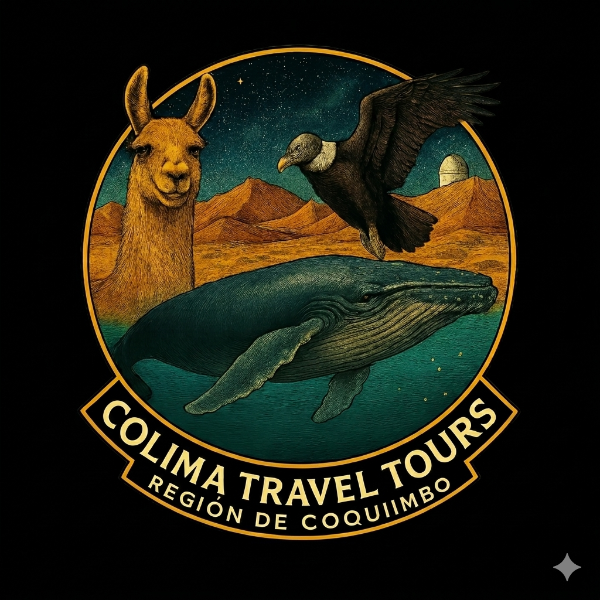 colimatraveltourspa's avatar