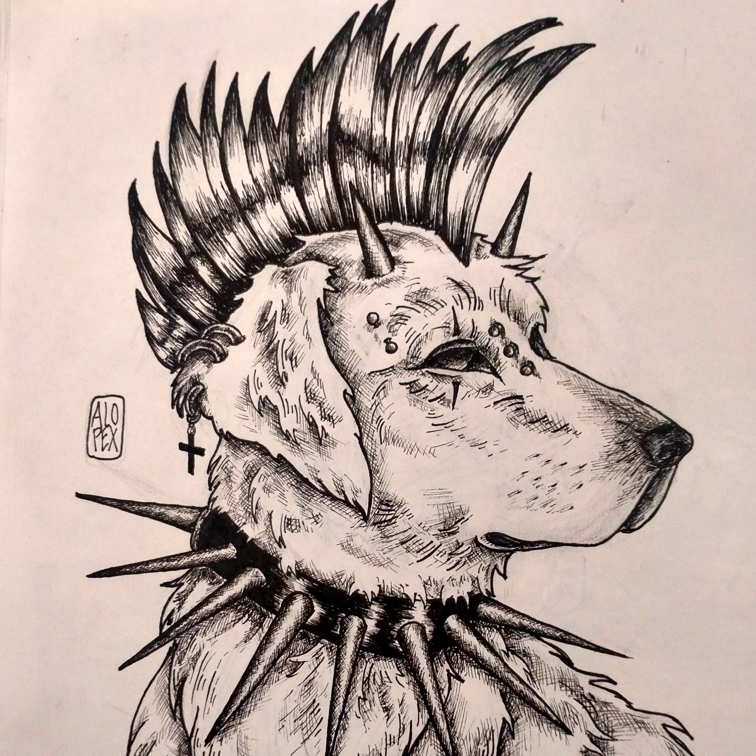 Alopex7's avatar
