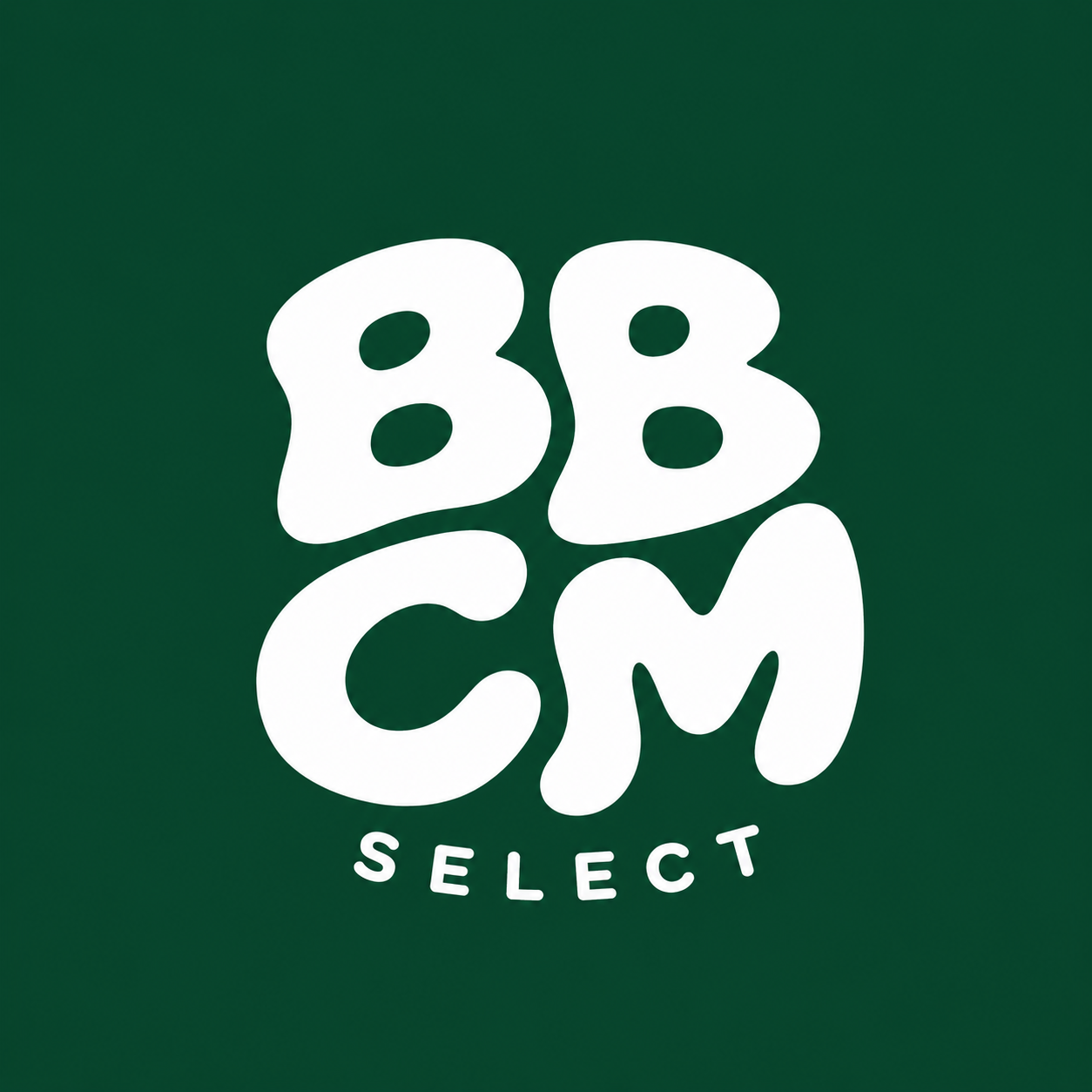 bbcm.select's avatar