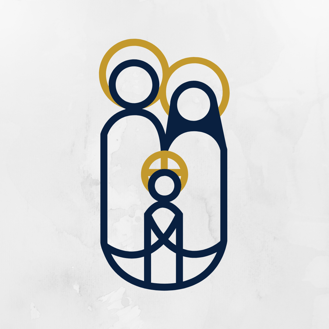 projetofamiliateresina's avatar