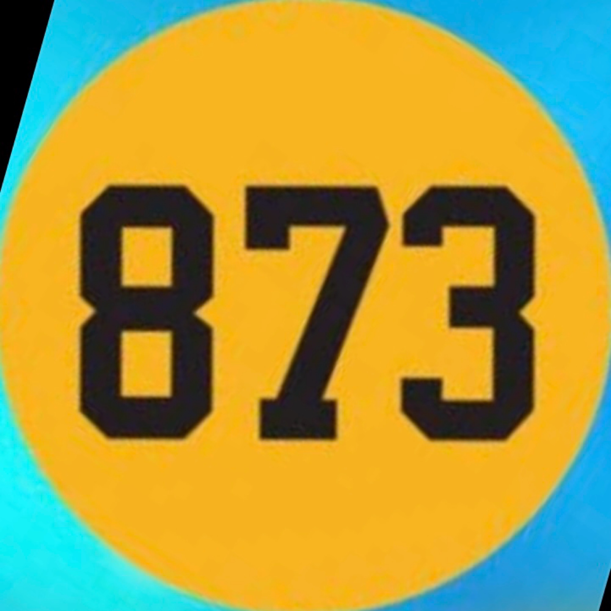 873foundation's avatar
