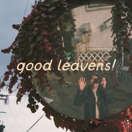 goodleavens's avatar