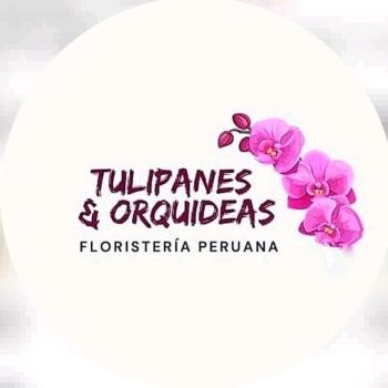 tulipanesyorquideas's avatar