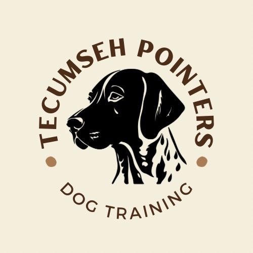 tecumseh.pointers's avatar