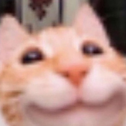 sillycatgurl's avatar