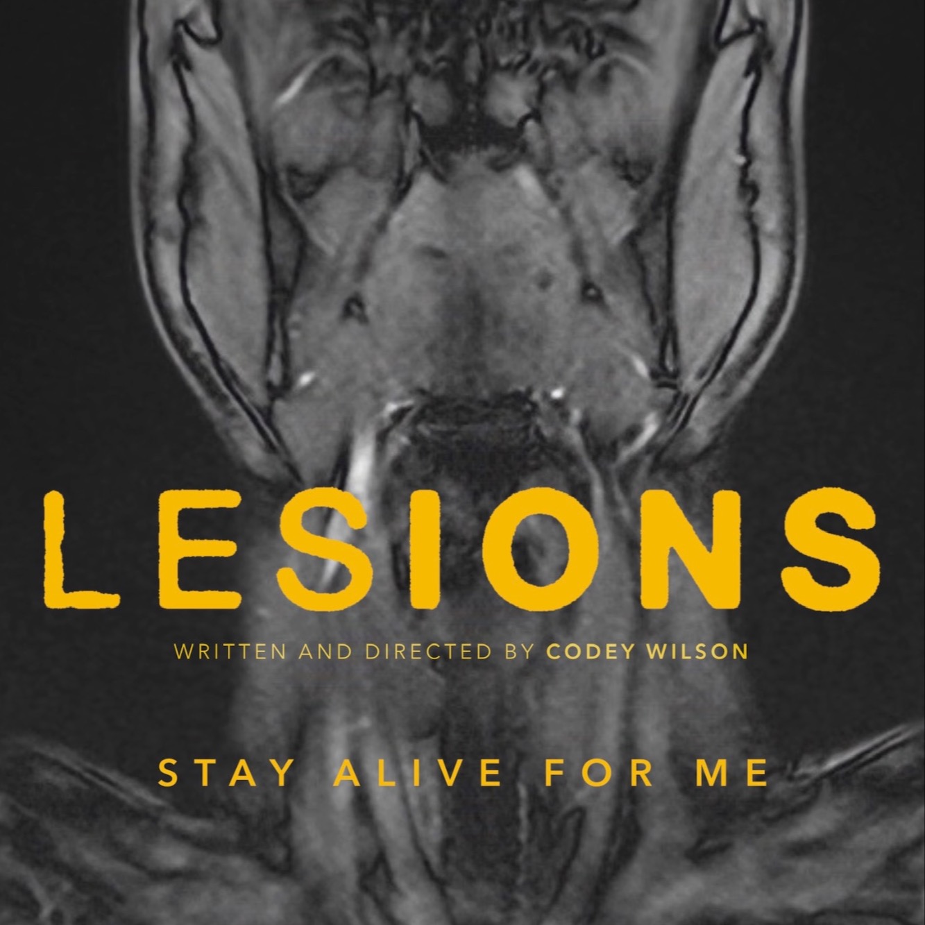 lesions's avatar