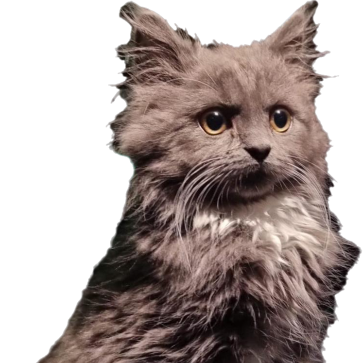 Bina621's avatar