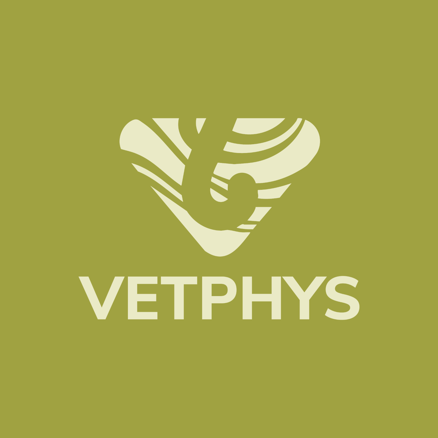 vetphys's avatar