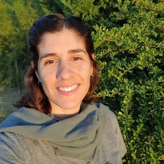 antoantolin's avatar