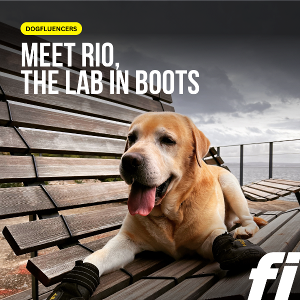 rio_lab_in_boots's avatar