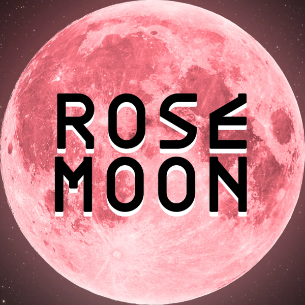 rosemoon.ua's avatar