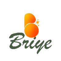 briyestore's avatar