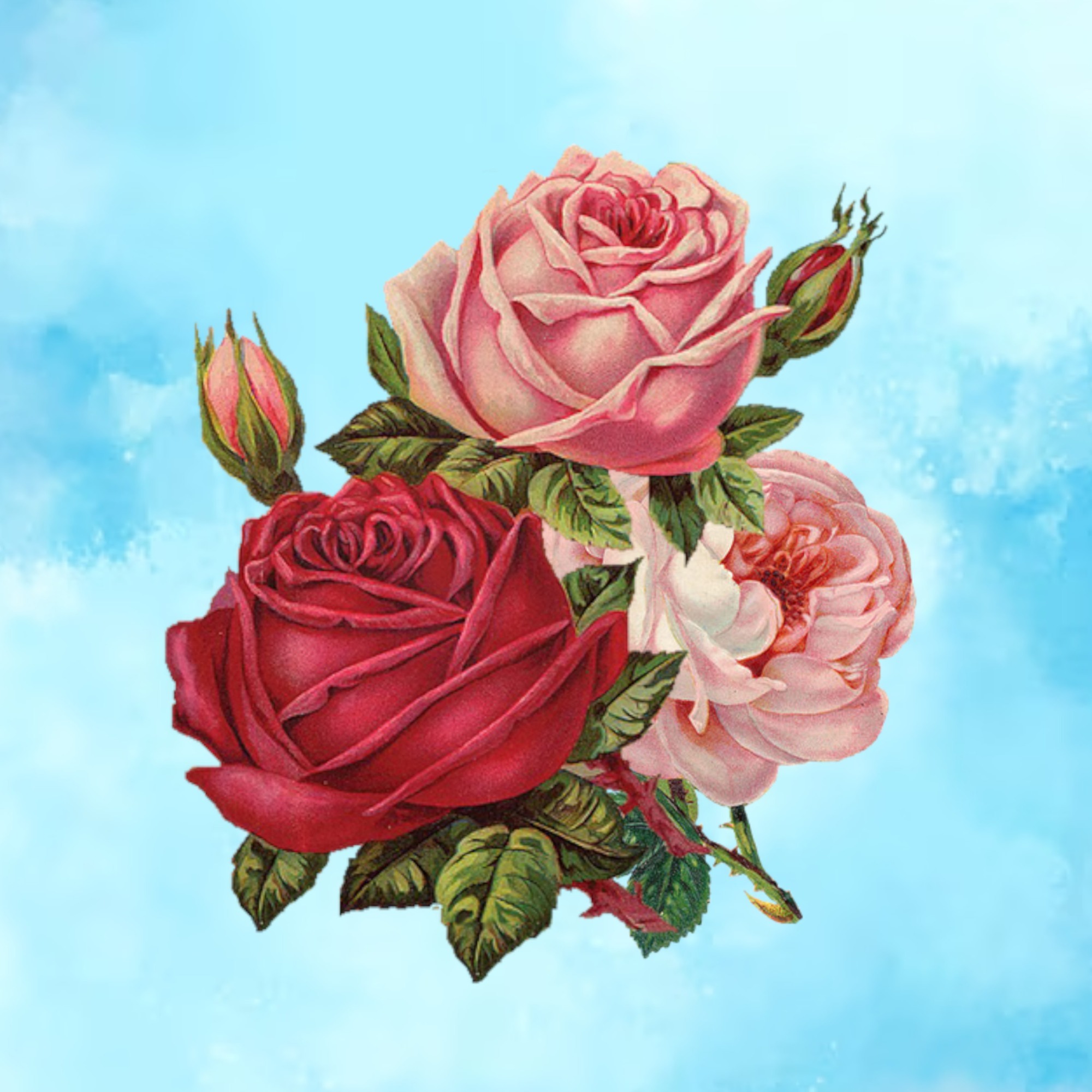 LXUIZ's avatar