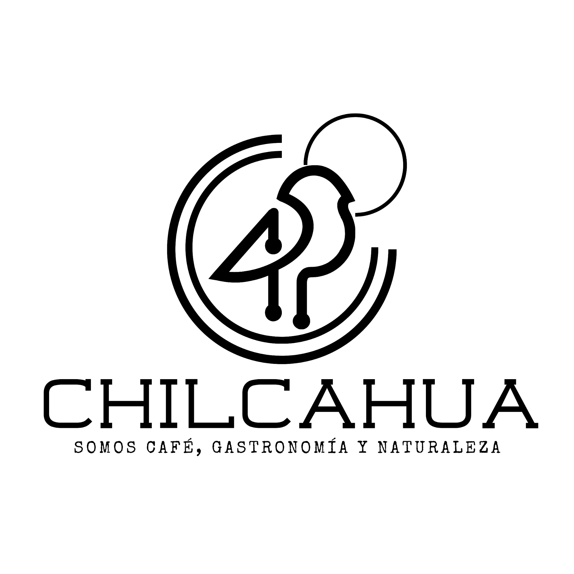 Chilcahua's avatar