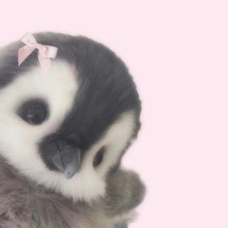 yelyvi's avatar