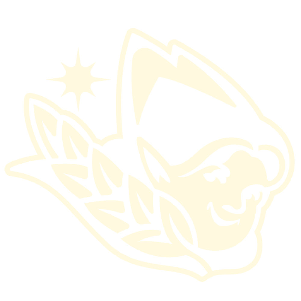birrificiopetrognola's avatar