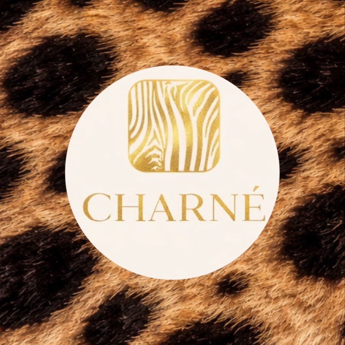 lifewithchar's avatar