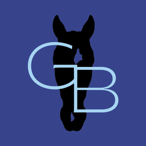 groomingbay's avatar