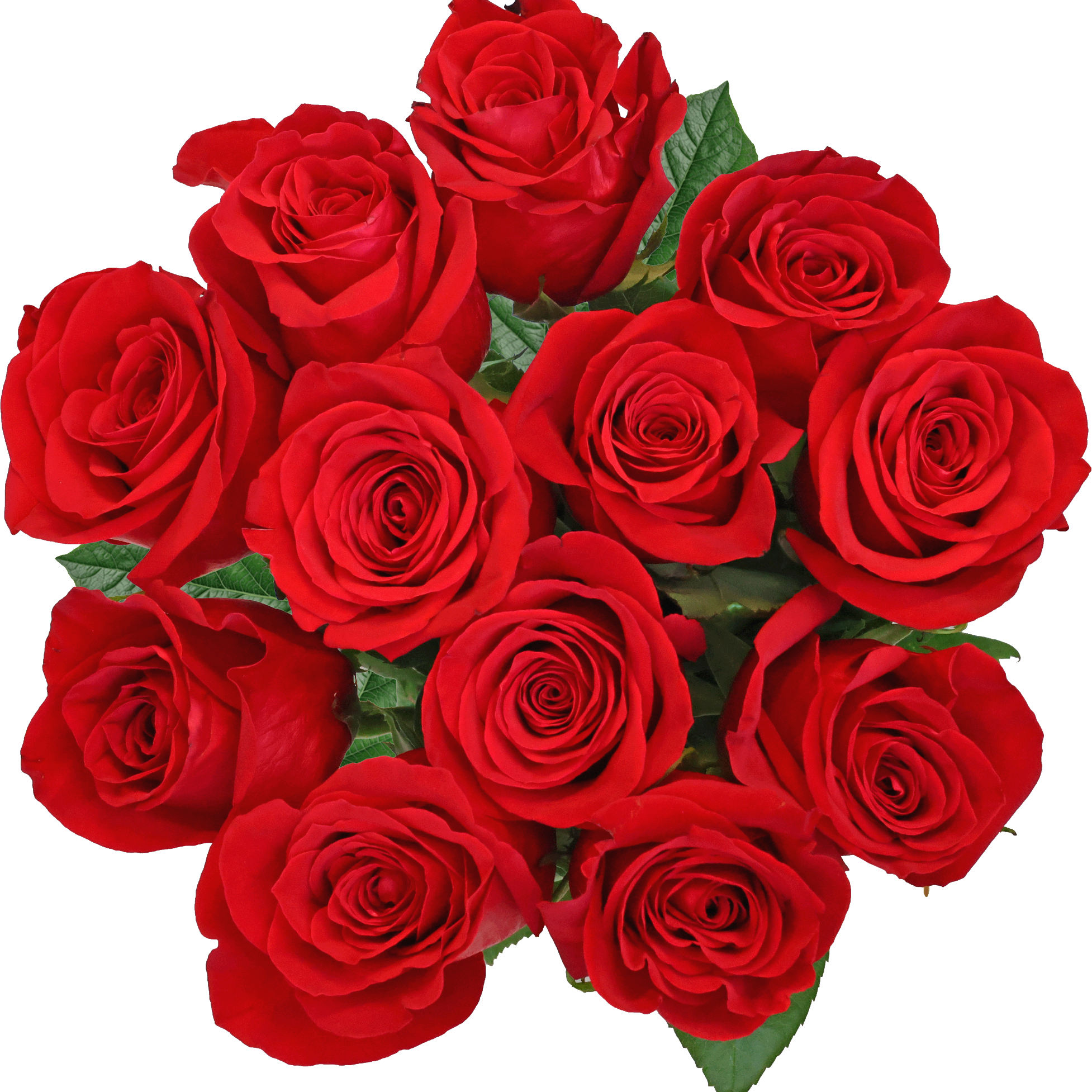 natural_flowers's avatar