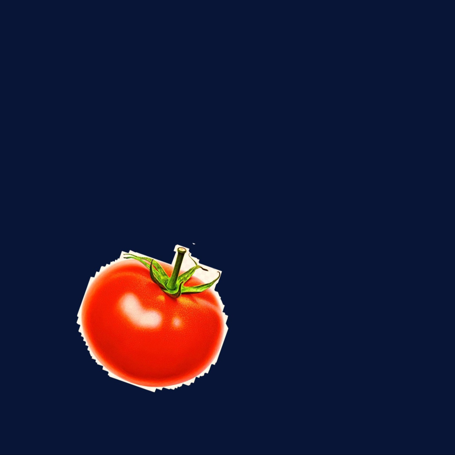 tom4toslice's avatar