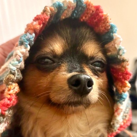 BeatyPets's avatar