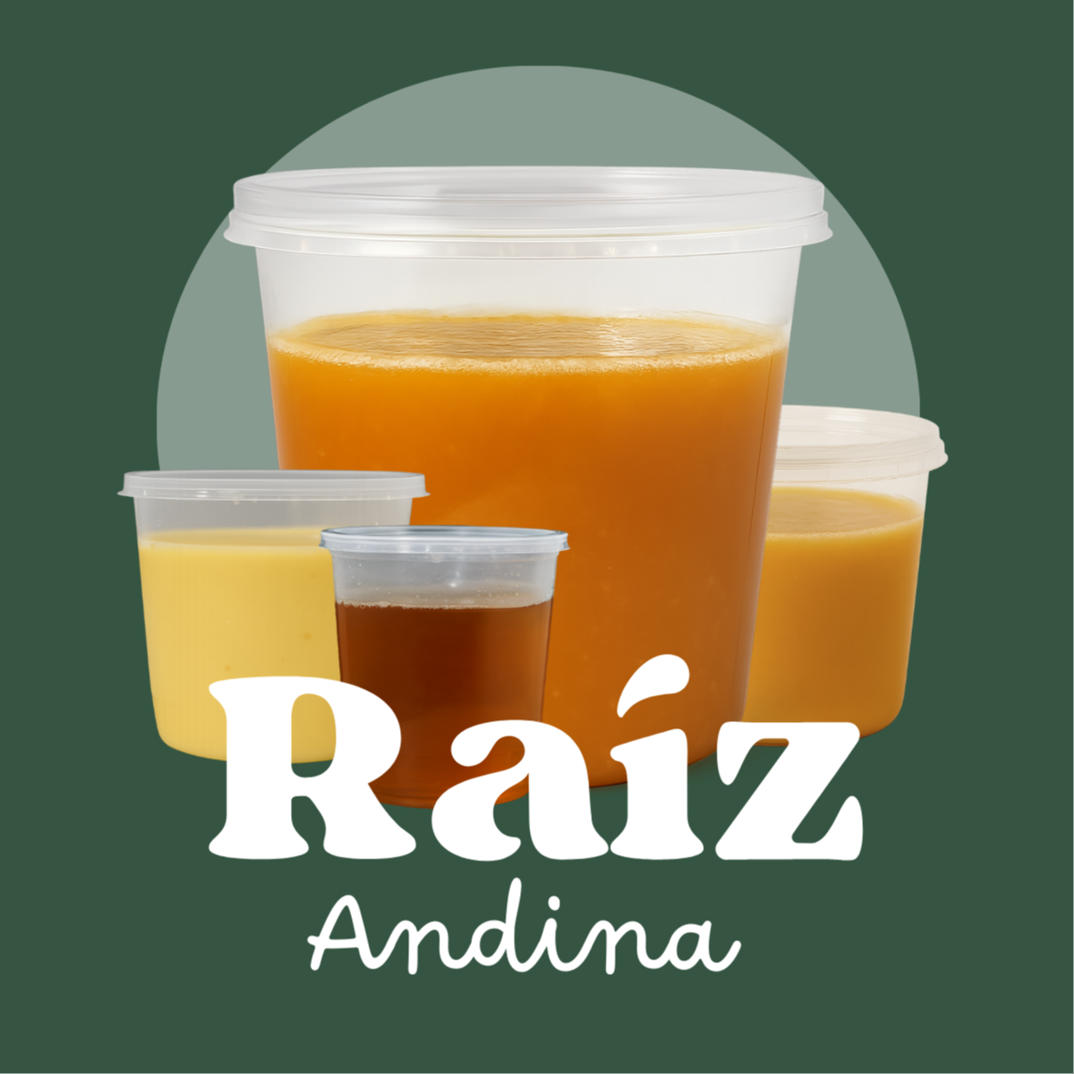 RaizAndina's avatar