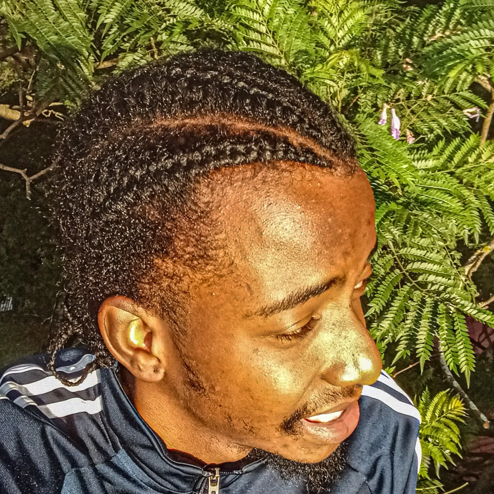 vemisha's avatar